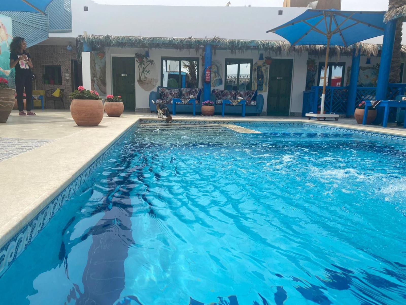 Chillax Dahab Hotel Eksteriør billede